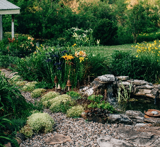 Water Garden Design and Inspiration - Holt Garden Centre